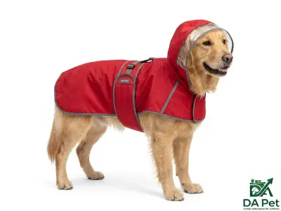 Raincoat