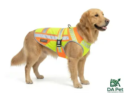 Reflective Vest