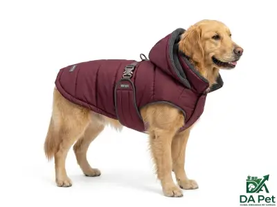 Winter Coat