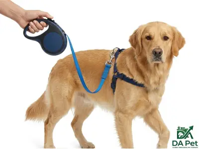 Retractable Leash