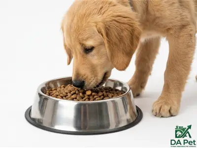 Food Bowl