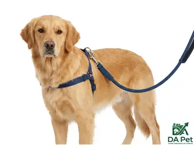 Standard Dog Leash