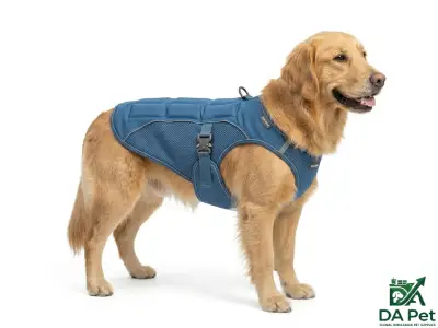 Cooling Vest